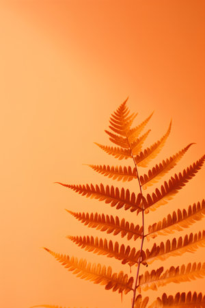 Fern leaf on orange background with copy space. Minimal concept.の素材