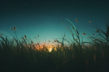 Beautiful nature background with grass and sunset. 3d rendering.の素材