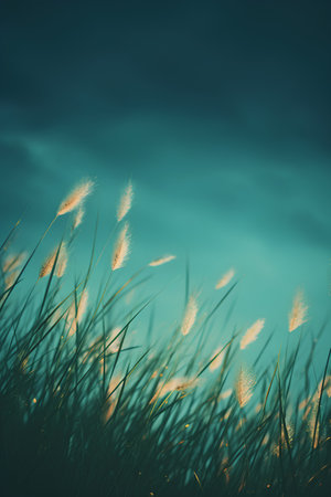 Grass flower on blue sky background. Nature background. Vintage tone.の素材