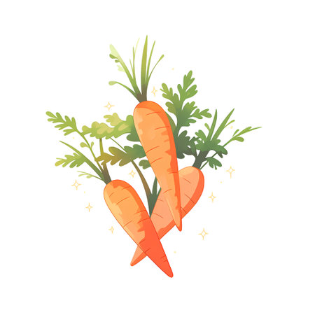 Bunch of fresh carrots with green leaves. Vector illustration isolated on white background.の素材