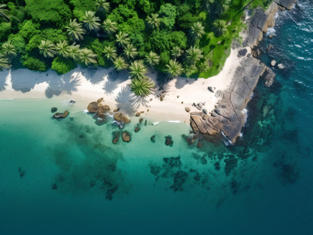 Aerial view of beautiful tropical beach with palm trees and sand.の素材