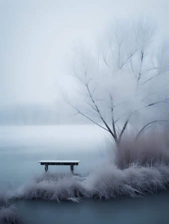 Winter landscape with wooden bench and trees in foggy misty morningの素材
