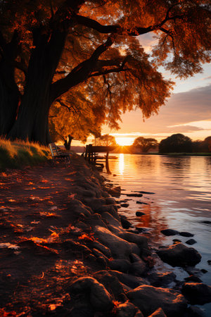 Beautiful sunset over the lake with old oak trees and bench.の素材