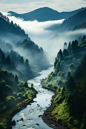 Foggy mountain landscape with a river flowing through the forest.の素材