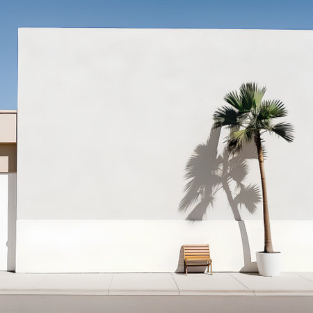 palm tree and bench in front of a white wall. 3d renderingの素材