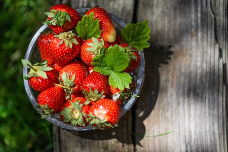 Strawberries in crystal bowl on green background, sunny fruits photographyの写真素材