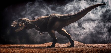 3d Illustrator - Tyrannosaurus rex isolated black background