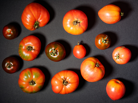 Fresh tomatoes on a grey background.の写真素材