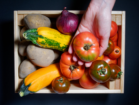 Hand of a young woman holding a tomato on the background of a box of fresh vegetables. Top view, flat lay.の写真素材