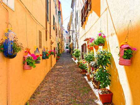 A narrow alley decorated with beautiful flowers in Alghero. Sardiniaの写真素材