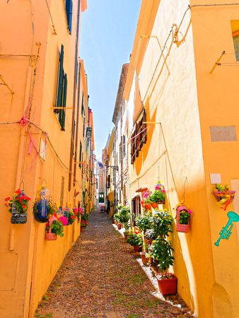 A narrow alley decorated with beautiful flowers in Alghero. Sardiniaの写真素材