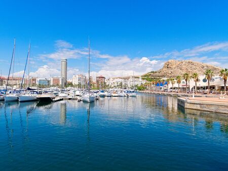 Beautiful promenade with palm trees in Alicante. Spainの写真素材