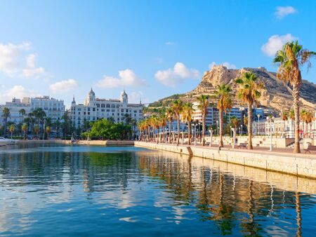 Beautiful promenade with palm trees in Alicante. Spainの写真素材