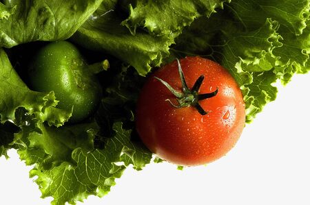 Tomato and Salad          の写真素材