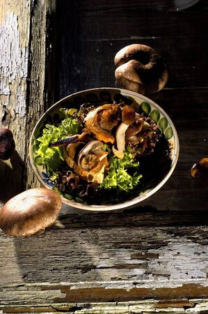 Traditional dish         の写真素材