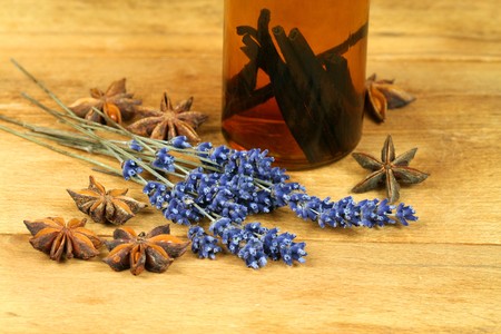 Composition of herbs and spices - lavender, anise and vanilla extract