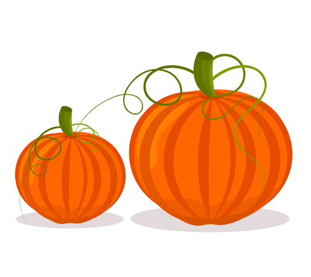 Two pumpkins, big and small over whiteのイラスト素材