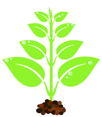 New born green plant with dropletsのイラスト素材