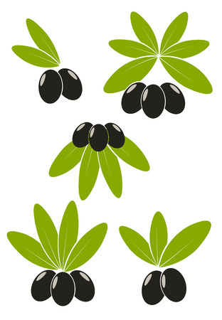 Set of black olives with leaves emblemsのイラスト素材