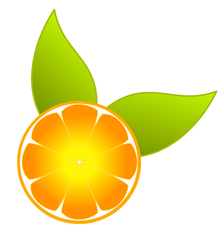Sunny orange fruit sliced with leaf.   illustrationのイラスト素材
