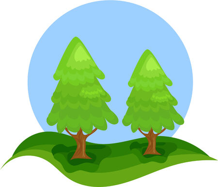 Two conifers - Christmas trees non decorated in nature. のイラスト素材