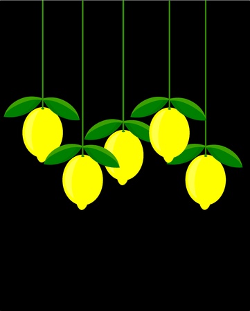 Lemons in group hanging over black backgroundのイラスト素材