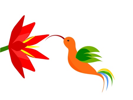 Colorful hummingbird flying to red flowerのイラスト素材