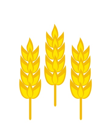 Three golden ripe wheat ears のイラスト素材
