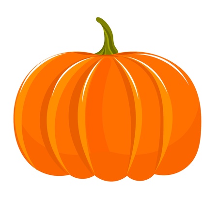 Pumpkin illustration isolated over whiteのイラスト素材