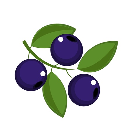 Blueberry fruits icon - vector illustrationのイラスト素材