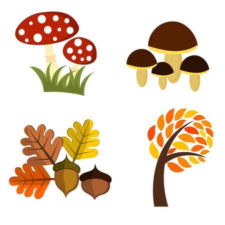 Autumn elements for design. Vector illustrationのイラスト素材