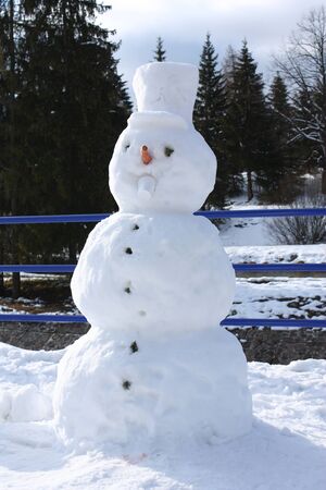 Funny snowmanの写真素材