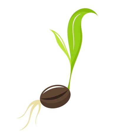 Small newborn plant - seedling. illustrationのイラスト素材