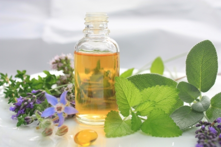 Fresh herbs and oil. Natural medicineの写真素材