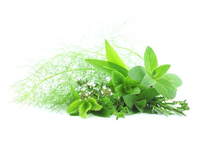 Fresh herbs on white backgroundの写真素材