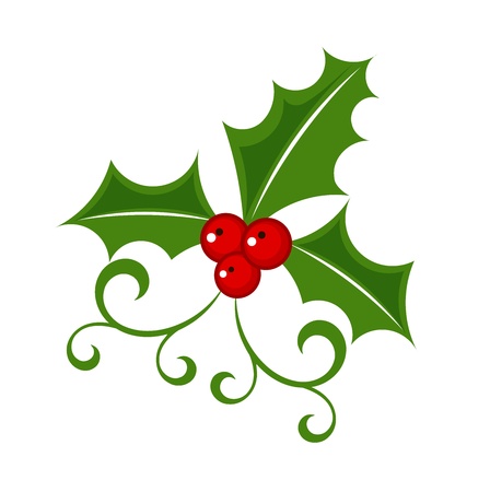 Holly berry - Christmas symbolのイラスト素材