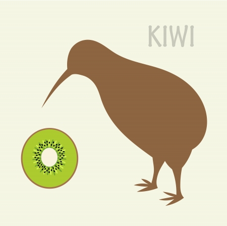 Kiwi bird and kiwi fruit - symbols of New Zealandのイラスト素材