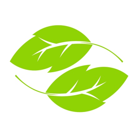 Two green leaves. のイラスト素材