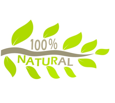 Symbolic branch with leaves - natural food emblemのイラスト素材