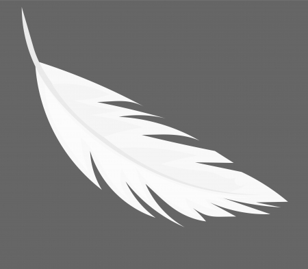 Feather - illustrationのイラスト素材