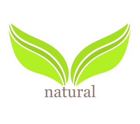 Natural green leaf symbol illustrationのイラスト素材
