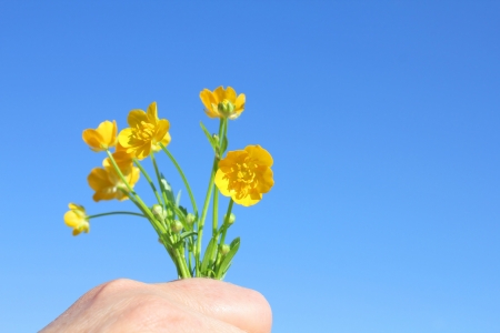 Bouquet of yellow flowers in hand over blue sky.の写真素材
