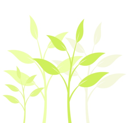 Soft plants background. Vector illustrationのイラスト素材