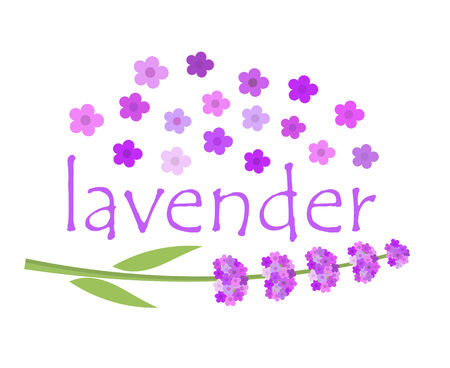 Lavender label concept. Vector illustrationのイラスト素材