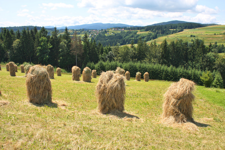 Haystacks on highland grassland. Landscape in Polandの写真素材