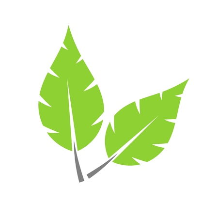 Two green leaves. Vector illustrationのイラスト素材