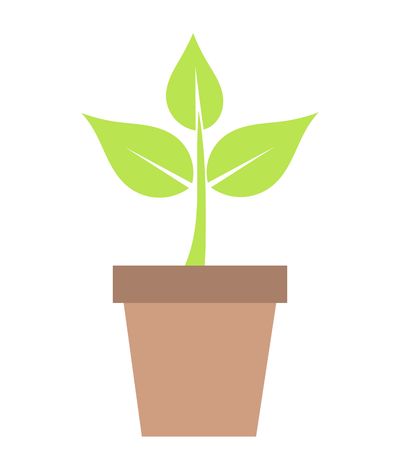 Green plant in pot. Vector illustrationのイラスト素材