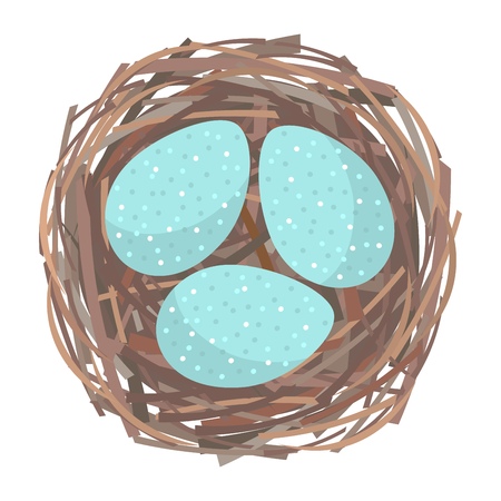 Eggs inside the bird nest. Vector illustrationのイラスト素材