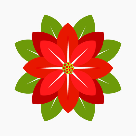 Poinsettia flower, symbol of Christmas. Vector illustrationのイラスト素材
