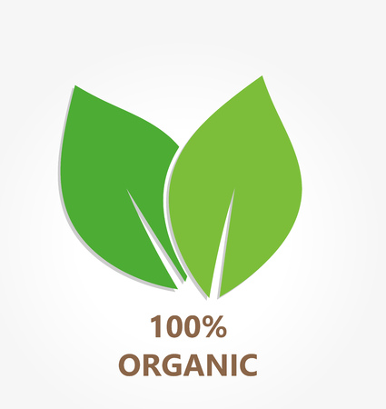 Organic leaves icon. illustrationのイラスト素材